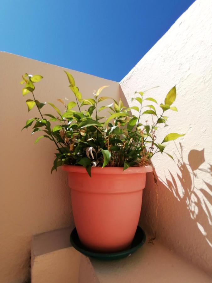 Apartamento Penha T3 Distretto di Distretto di Faro Esterno foto